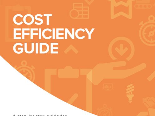 Cost Efficiency Guide